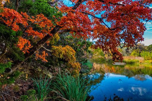 Si disfrutas de los coloridos cambios de la naturaleza durante esta temporada, estos son algunos de los parques que ofrecen senderos y vistas panorámicas.