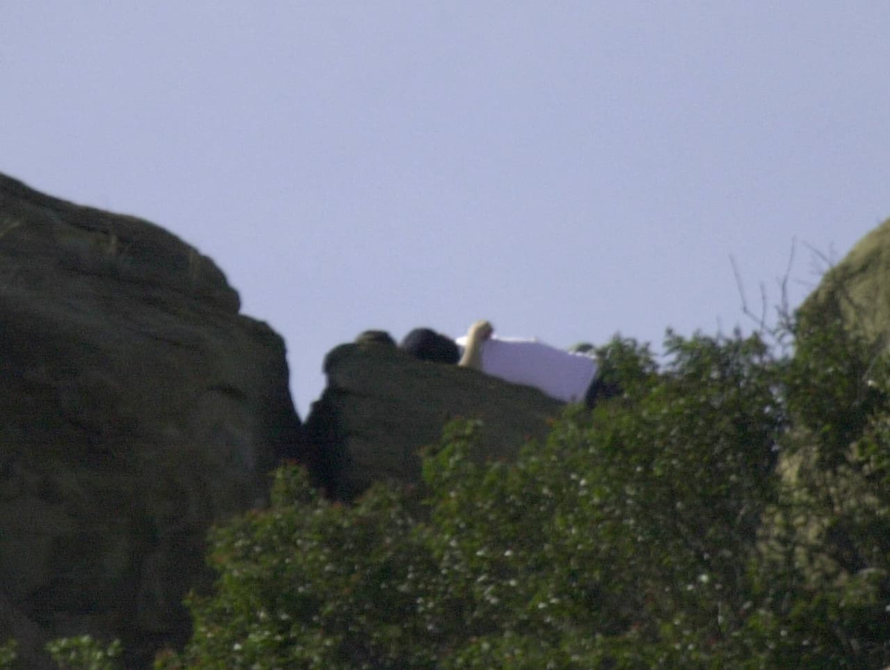 "No recuerdo el encuentro, hubiera sido hace más de 30 años. Pero si me comporté como él describe 
<b>le debo la más sincera disculpa</b> por lo que habría sido un comportamiento ebrio impropio", admitió.