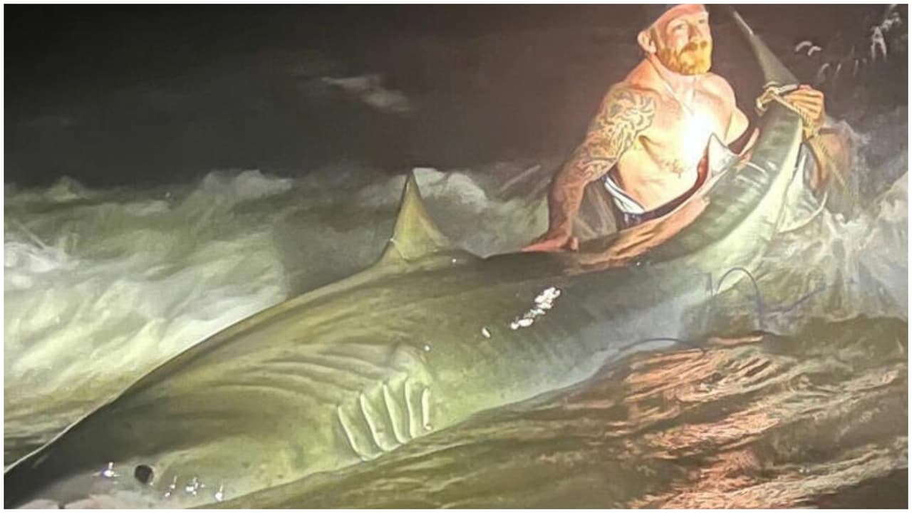 Christian Haltermann, de 36 años y de Kyle, Texas, estaba pescando con su hijo de 8 años el pasado sábado, cuando atraparon a un tiburón tigre de 12.5 pies en la Costa Nacional de la Isla del Padre, cerca de Corpus Christi, Texas.