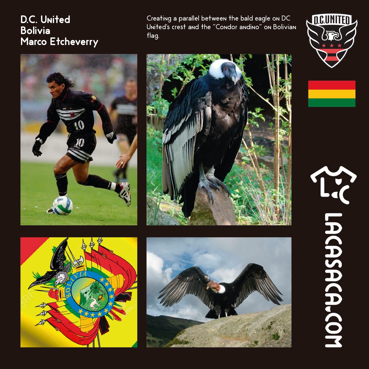 D.C. UNITED | Esta camiseta llega gracias a una mezcla entre la águila calva del escudo del club y el cóndor que engalana los Andes bolivanos. Por supuesto está inspirada en un ídolo del equipo, Marco Antonio Etcheverry.