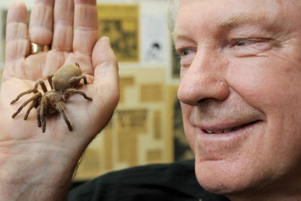 El hombre aseguró que dormirá en un saco y puntualizó que no tiene miedo de que le piquen los bichos venenosos. Le Souef ha realizado actos similares anteriormente, se zambulló en un tanque con tiburones y vivió tres semanas con serpientes.