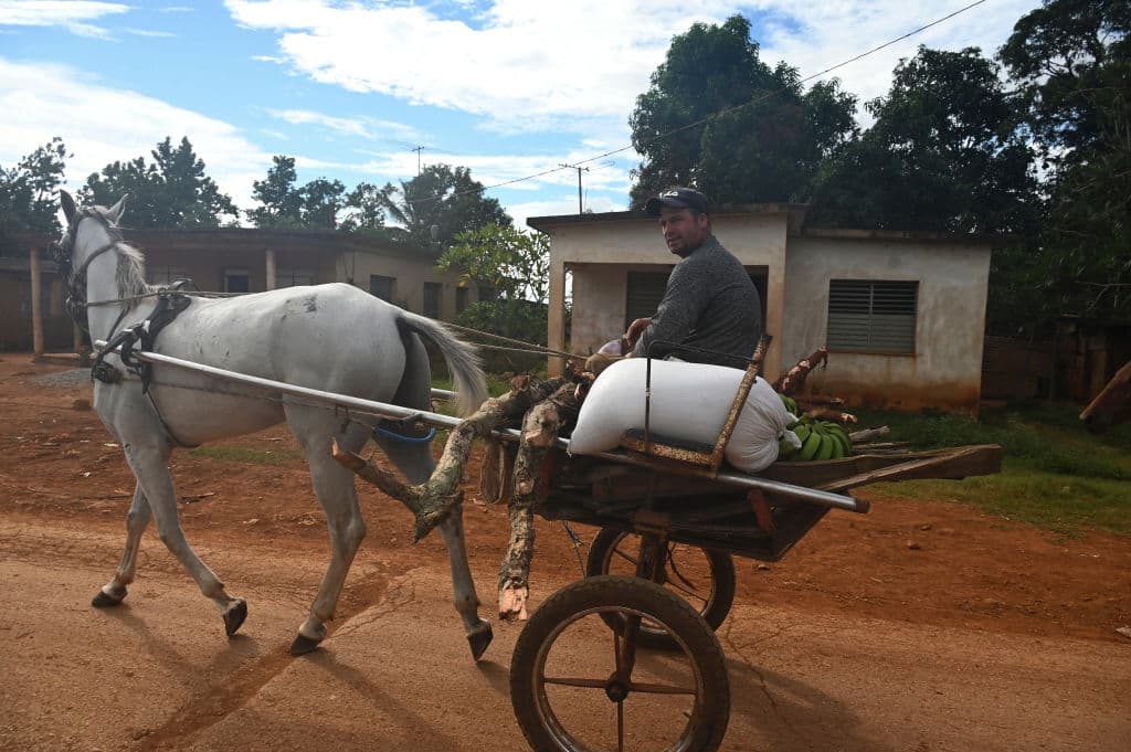 En
<b> Guanimar, en la provincia de Artemisa, en Cuba,</b> algunos tomaron previsiones desde el martes, antes de que 
<b>el huracán Rafael impactara la isla, este 6 de noviembre, en horas de la tarde</b>. El fenómeno llega en medio de una crisis energética y la recuperación de 
<b><a href="https://www.univision.com/local/miami-wltv/huracan-oscar-cuba-muertos-tormenta-tropical" target="_blank">los daños del huracán Oscar, que causó las muertes</a></b> de al menos seis cubanos, según el gobierno.
