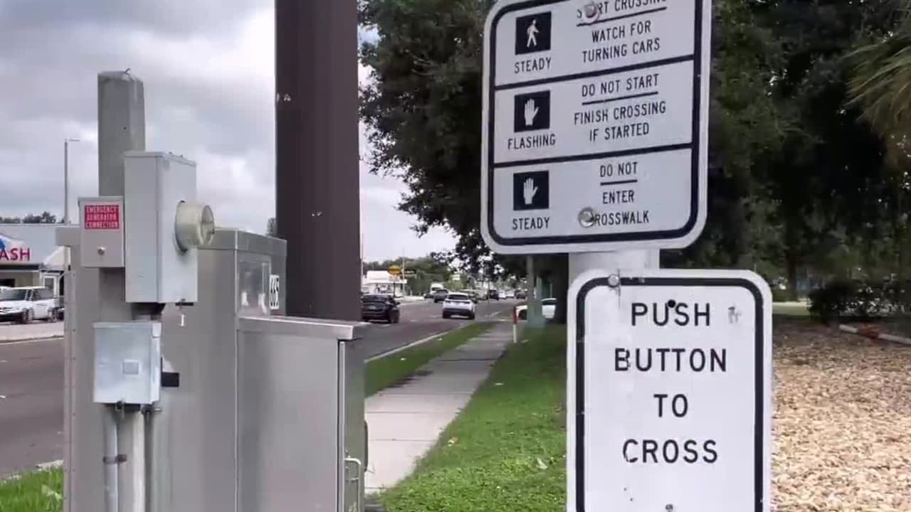 Policía de St. Petersburg refuerza seguridad vial para reducir accidentes mortales