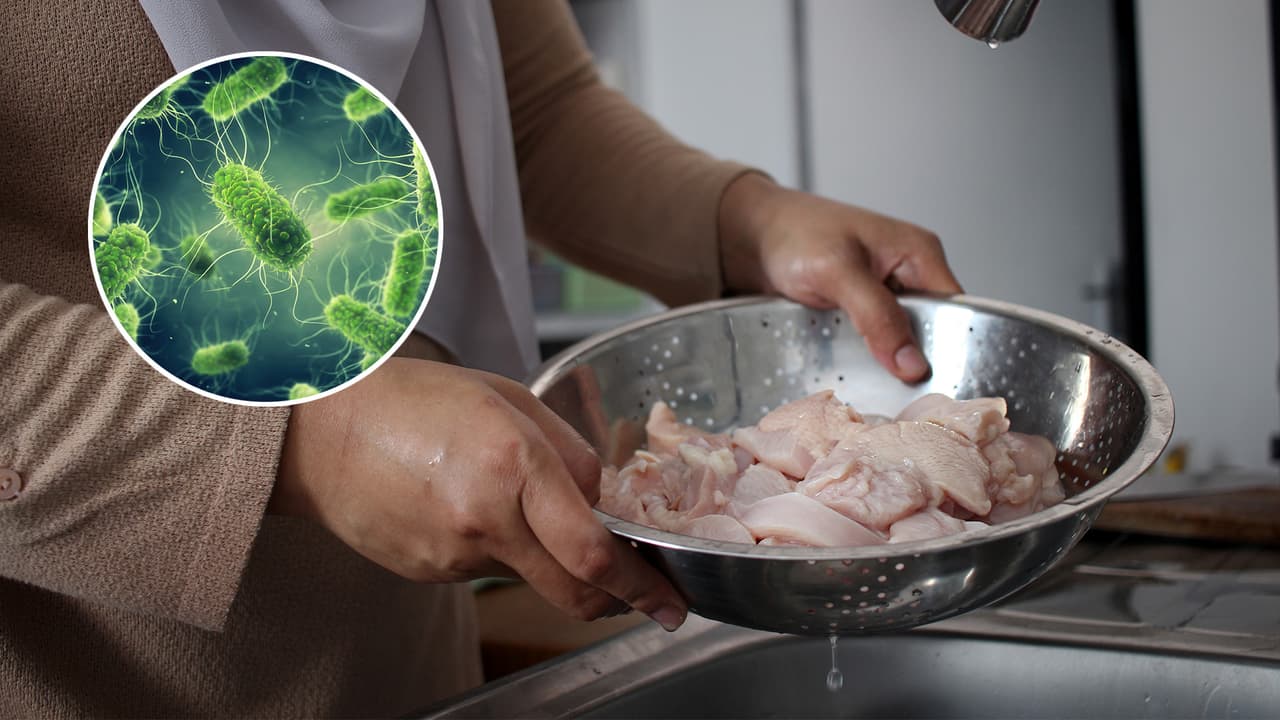 Brote de salmonela en restaurante de comida mexicana afecta a 10 personas