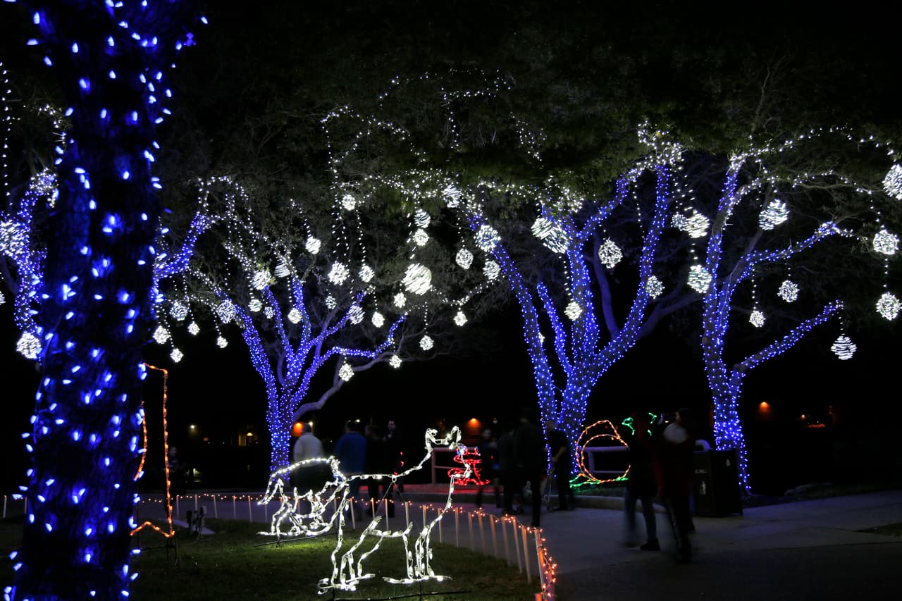 Deténfase y saque su cámara (o teléfono) para capturar cada detalle de los diseños del festival de luces del parque.