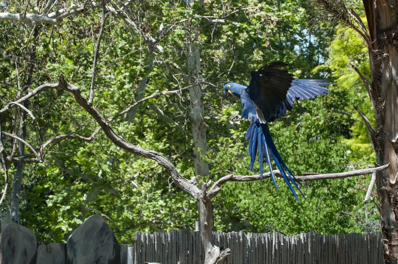 Un bello dia fue perfecto para las familias desde Bakersfield a Modesto.