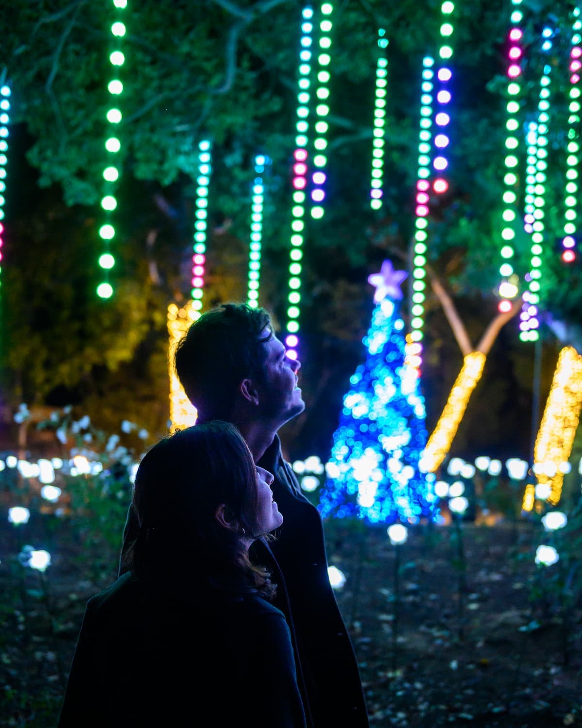 "Estamos encantados de traer de regreso una de las tradiciones navideñas más esperadas de la ciudad este año con una celebración de Zoo Lights como ninguna otra", dijo Denise M. Verret, directora ejecutiva y directora del zoológico de Los Ángeles.