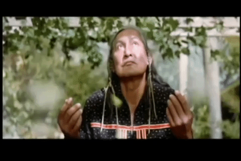 Will Sampson, quien participó en la segunda entrega de 'Poltergeist', falleció en 1987 debido a una insuficiencia renal.