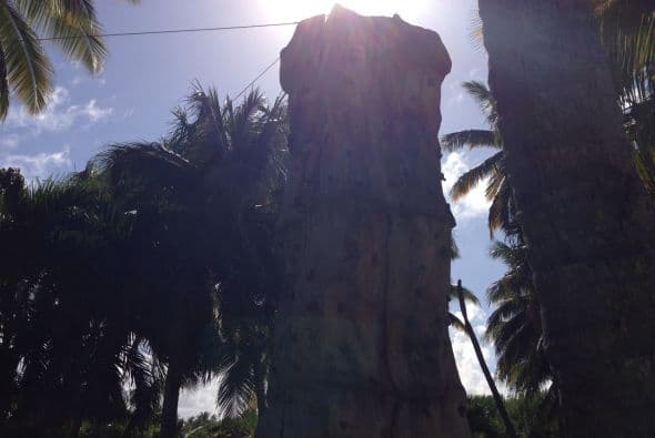 ¡Pero sí lo logró!