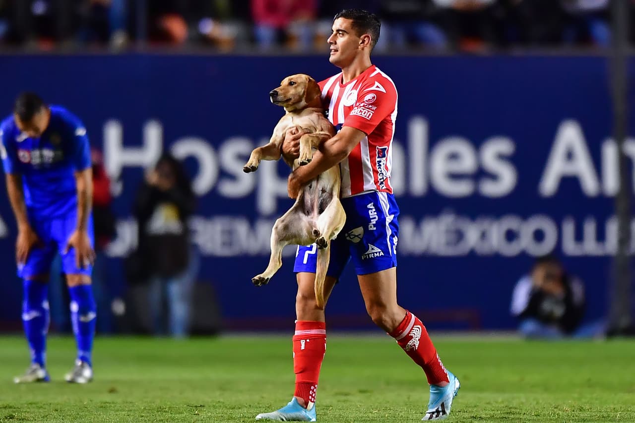 San Luis busca a ‘Tunita’, que irrumpió en el partido ante Cruz Azul
<br>