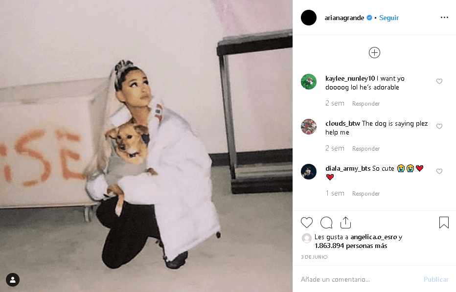 Tras el el paso de los meses, Ariana se ha repuesto y se encuentra actualmente 
<a href="https://www.univision.com/shows/el-gordo-y-la-flaca/las-exigencias-de-ariana-grande-en-su-gira-mundial-que-afecta-a-fotografos-video" target="_blank"><b>de gira por Europa.</b></a>