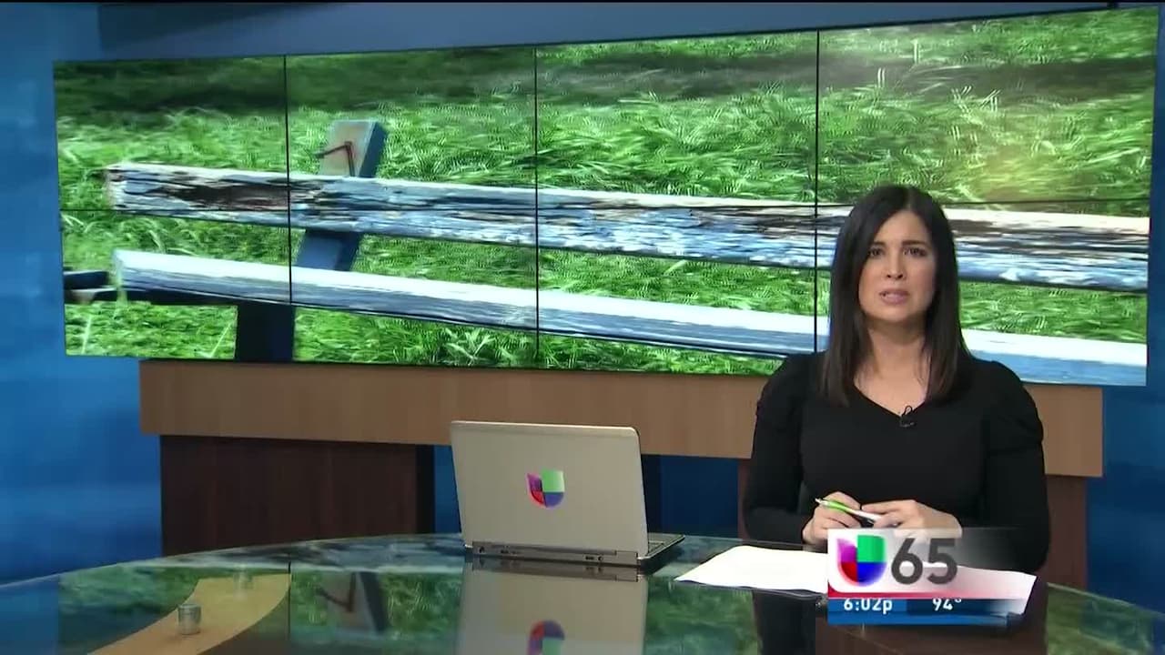 Parque pesadilla en comunidad