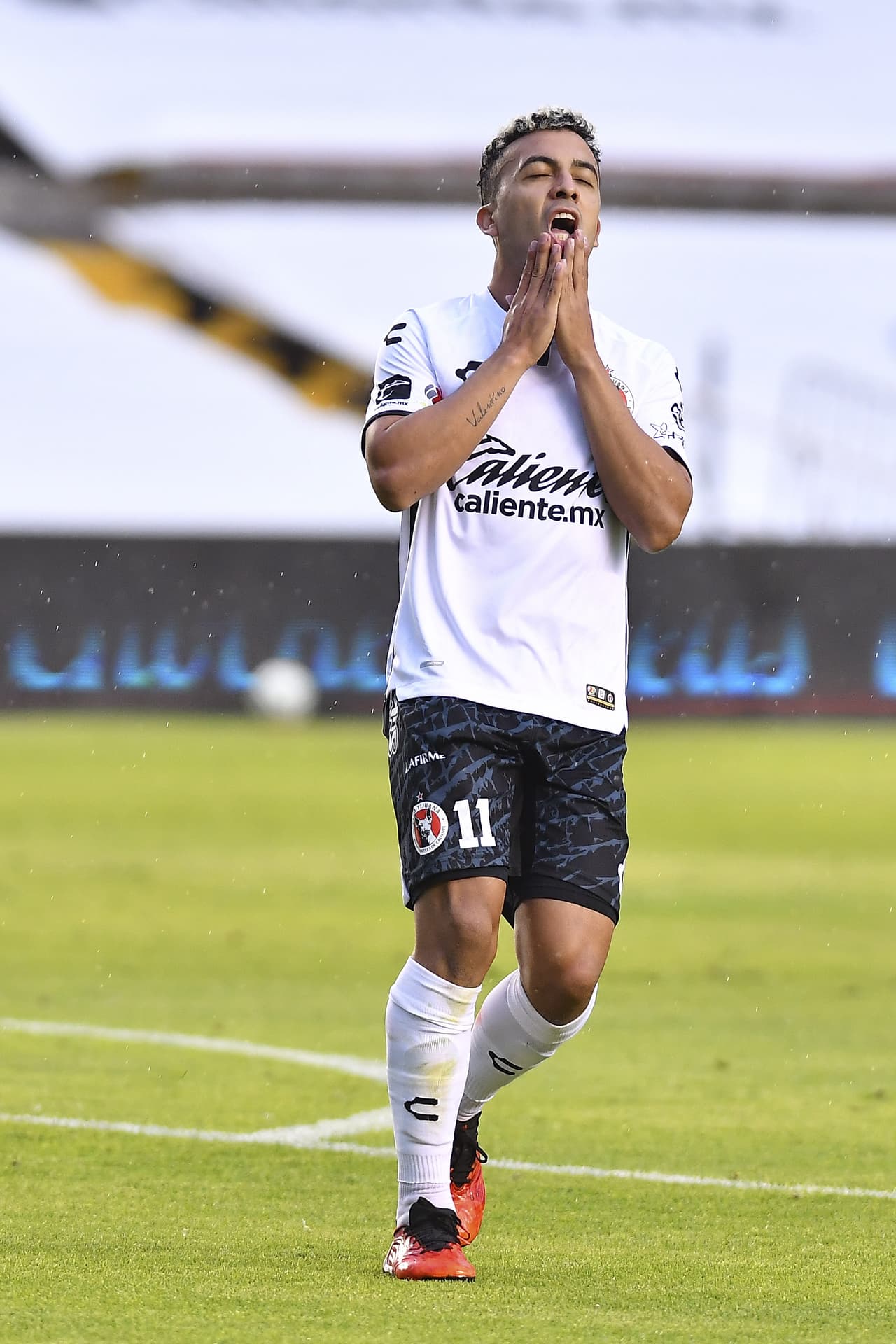 Tití se lamentaba por las fallas.