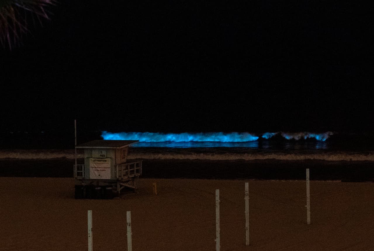 Esta imágen de las olas bioluminiscentes que se estrellan en la arena fueron captadas el 28 de abril de 2020, en Manhattan Beach, California.