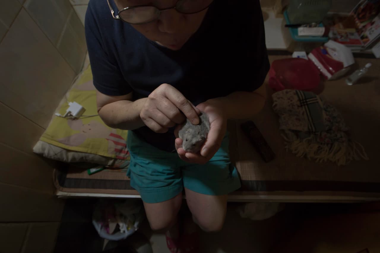 Kitty Au, habitante de una ‘casa ataúd’ juega con su mascota, un hámster.