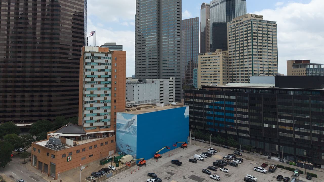 <h3 class="cms-H3-H3">El Mundial en Dallas impulsa una nueva imagen urbana</h3> Los trabajos para cubrir el mural comenzaron en mayo, como parte de 
<b>una nueva instalación relacionada con el Mundial. </b>
<br>Dallas será una de las sedes del torneo, aunque 
<b>los partidos se jugarán en el AT&T Stadium de Arlington,</b> que durante la competencia será identificado como Dallas Stadium. 
<br>El comité organizador local ha dicho que 
<b>reconoce la importancia cultural e histórica del mural.</b>
<br>También señaló que 
<b>una parte de la obra será preservada como tributo</b> y que la nueva pieza busca reflejar el ambiente del Mundial. 
<br>El cambio, sin embargo, 
<b>abrió una discusión sobre cómo se toman estas decisiones </b>cuando una ciudad se prepara para un evento internacional.