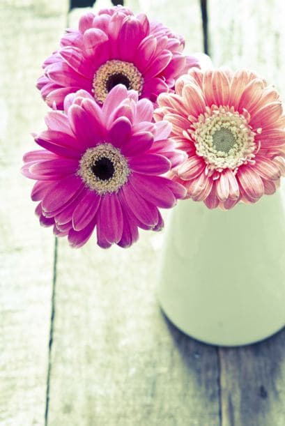 No podrás resistirte a tener una en un jarrón como centro de mesa o dentro de un recipiente con otras flores.