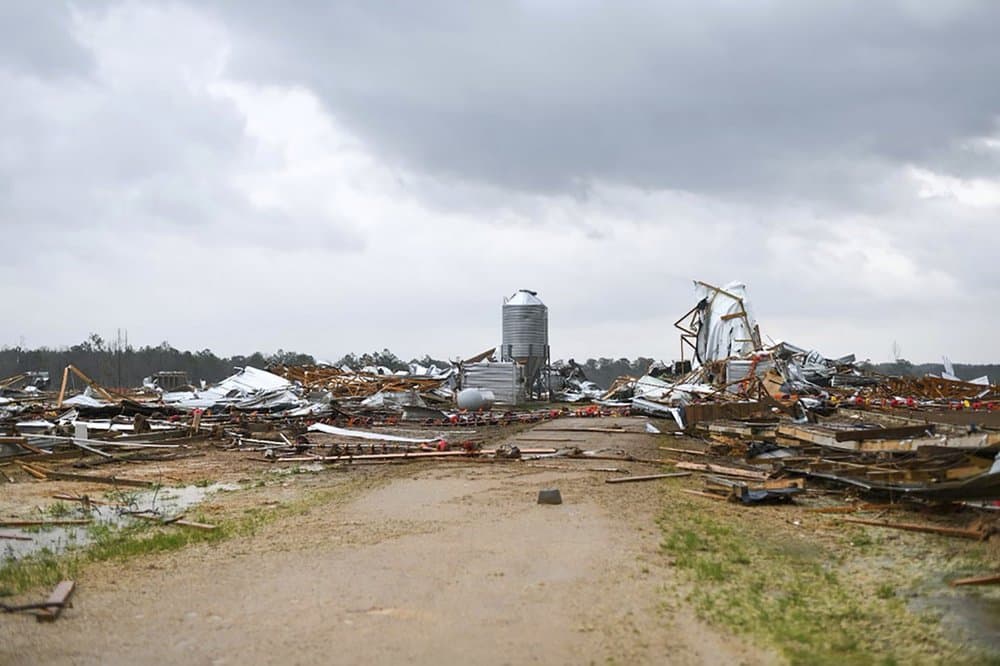 Así quedó esta granja de pollos en el condado de Wayne, Mississippi, después del golpe del tornado. En ese estado, todos los centros de vacunación contra el
<a href="https://www.univision.com/temas/coronavirus">coronavirus</a> y los lugares de realización de pruebas se cerraron antes del mal tiempo.