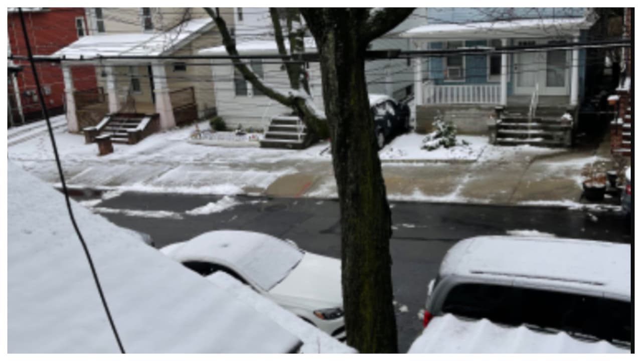 "Me emociona cuando cae la nieve". Rosa de Arce.