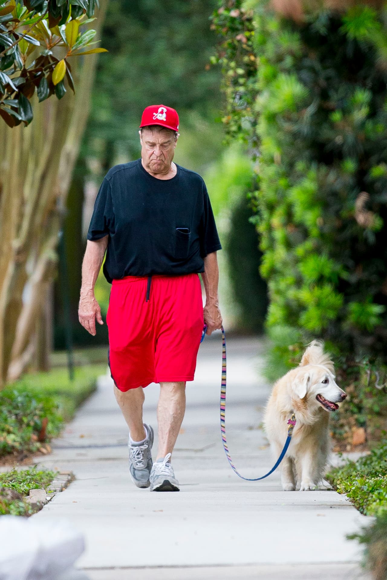 Bastaron unas horas para que ABC decidiera cancelar la nueva serie y otras tres cadenas televisivas y Hulu se le unieran, retirando de sus plataformas las nueve temporadas de la versión clásica.