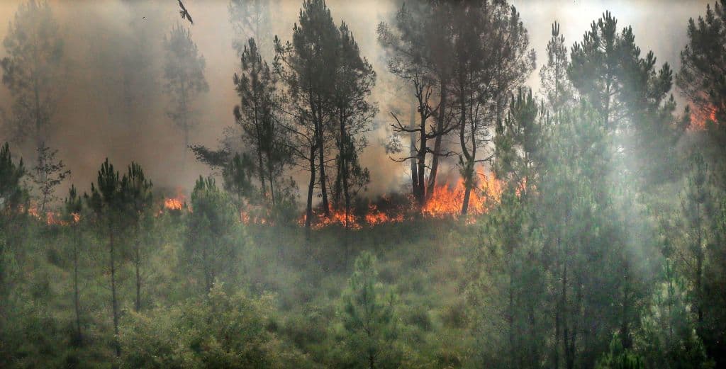 En Francia la situación es crítica. En el suroeste del país los bomberos siguen luchando contra dos incendios que ya arrasaron cerca de 11,000 hectáreas desde el martes en la región de Burdeos, una superficie equivalente a la de París, explicó a la AFP el ingeniero Guillaume Rozier. Según la agencia meteorológica Météo-France, las temperaturas podrían alcanzar los 40ºC en esa zona.