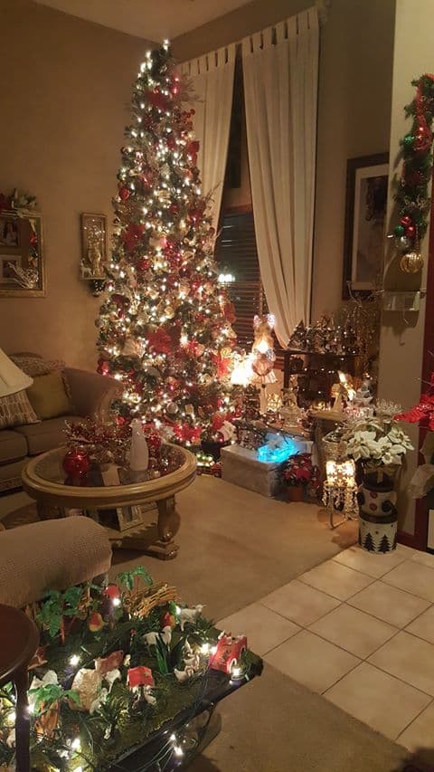 En esta imagen las esferas y las luces brillan por todas partes y se puede ver el espíritu navideño que tiene la familia Regalado, de San Pablo.