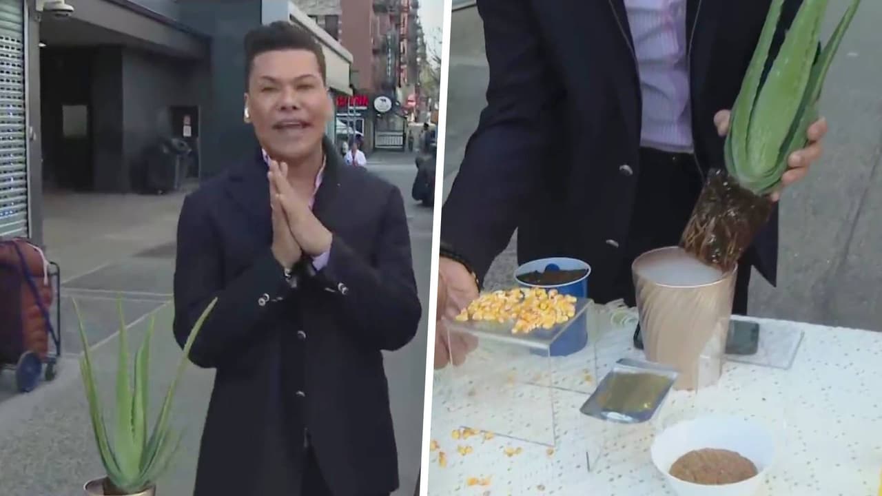 Rituales para atraer la abundancia usando la energía del próximo eclipse solar según tu signo