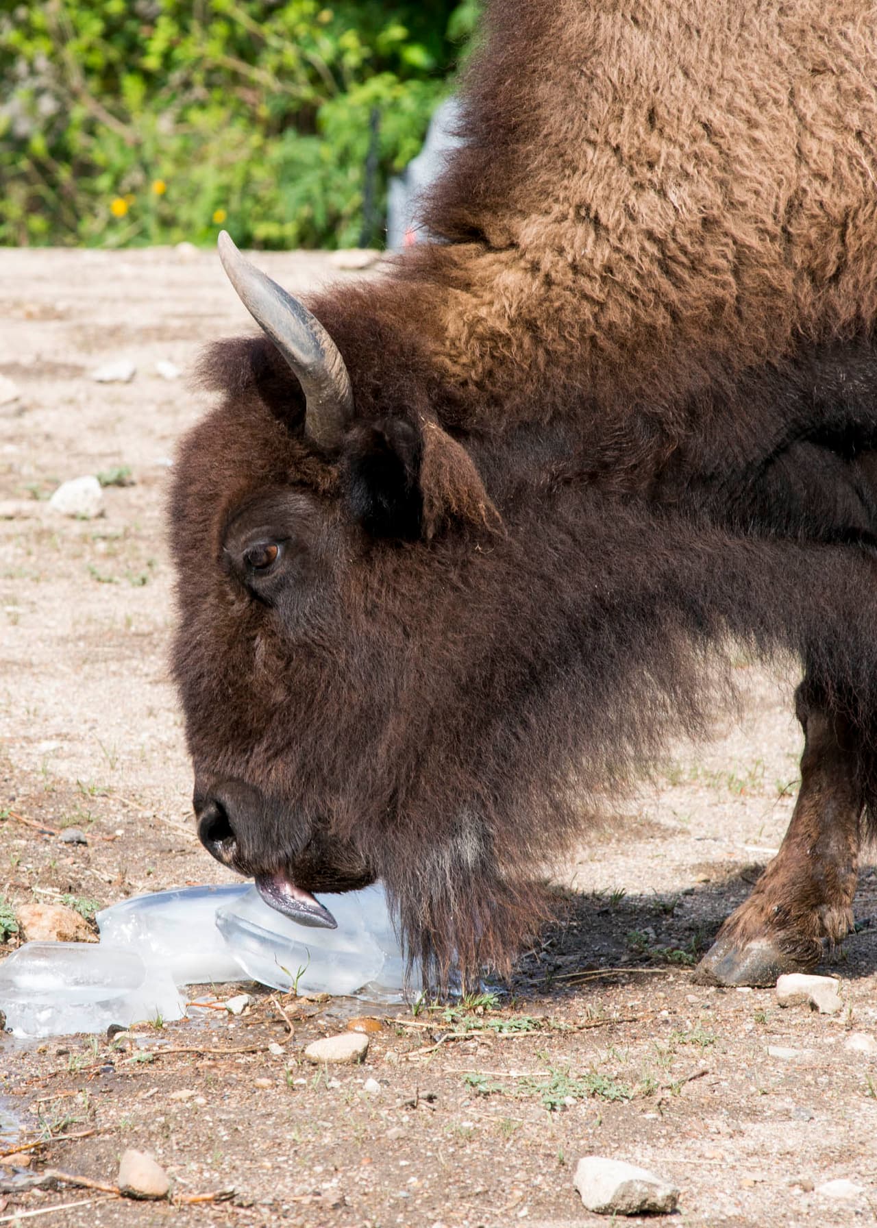 Para el lunes las temperaturas volverían a la normalidad para esta época del año.