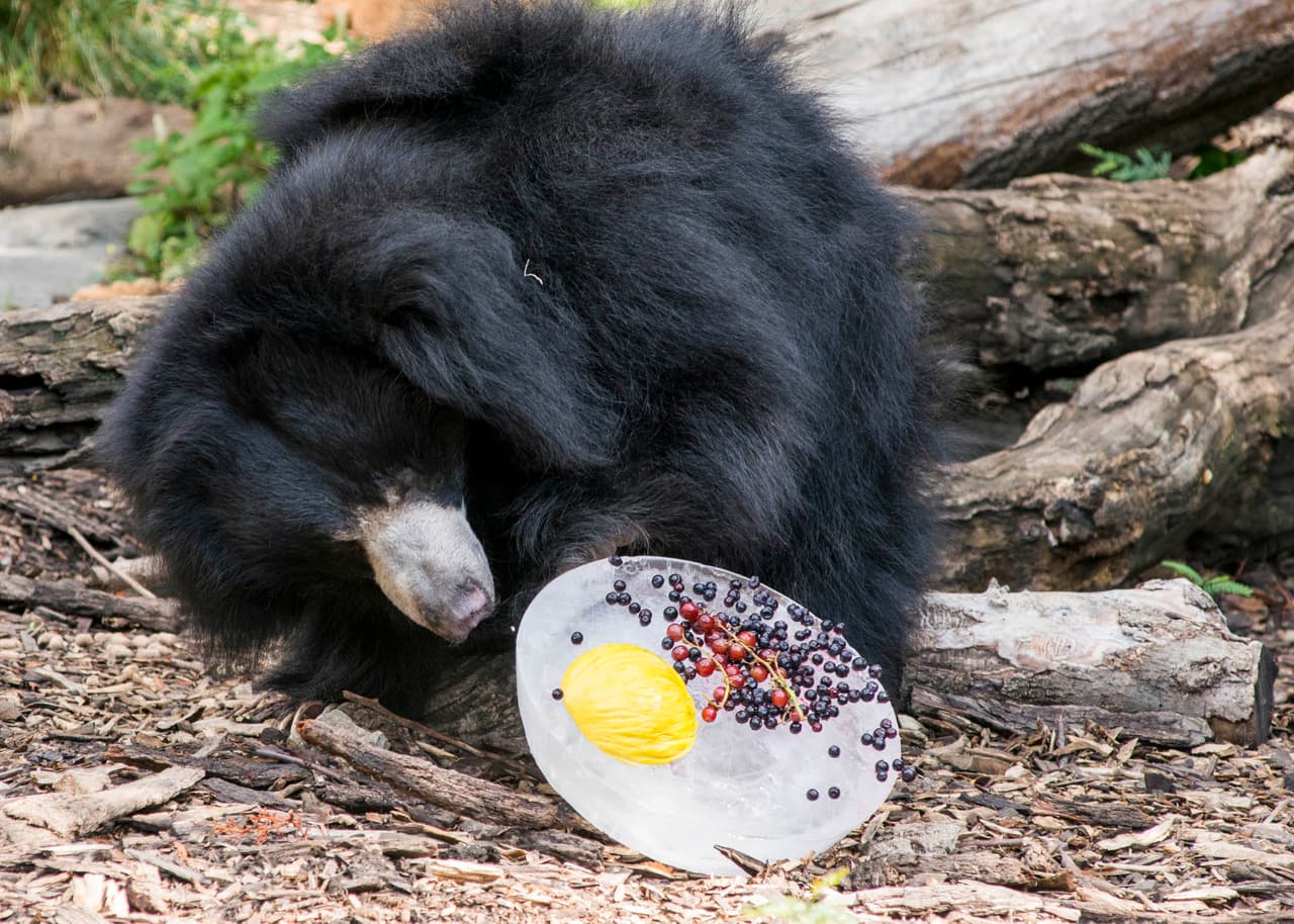 La alerta por calor extremo en Chicago se vence este viernes a las 7 pm.