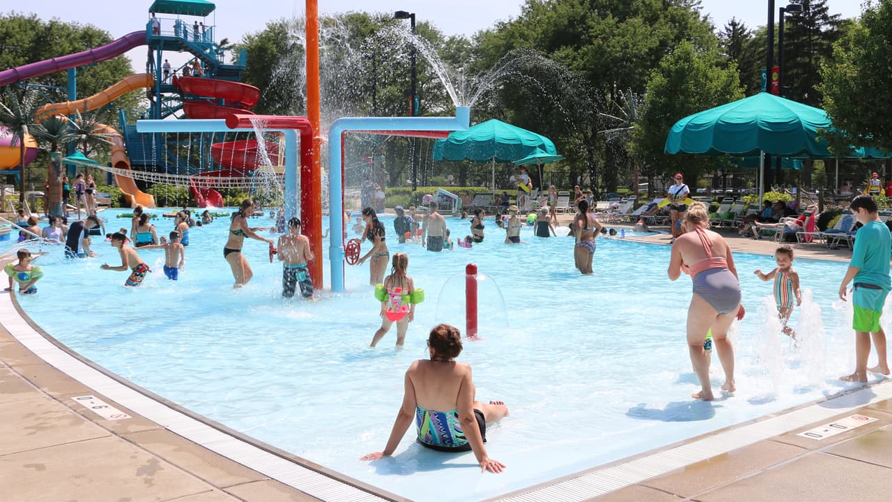 <h3 class="cms-H3-H3"><b>Paradise Bay Water Park</b></h3>
<br>Este parque inicia operaciones el sábado, con atracciones como toboganes, alberca con entrada de playa y una piscina con 8 carriles. Si deseas más información, puedes visitar 
<a href="https://lombardparks.com/paradise-bay-water-park/" target="_blank">la página del parque</a>. 
<br>
<br>
<b>¿Dónde?</b>
<br>Paradise Bay Water Park 437 E. St. Charles Road, (Lombard, IL 60148)
<br>
<br>
<b>¿Costo?</b>
<br>Los accesos tienen un costo de 17 dólares para adultos y 15 para niños, con tarifa especial para adultos mayores y horario vespertino.