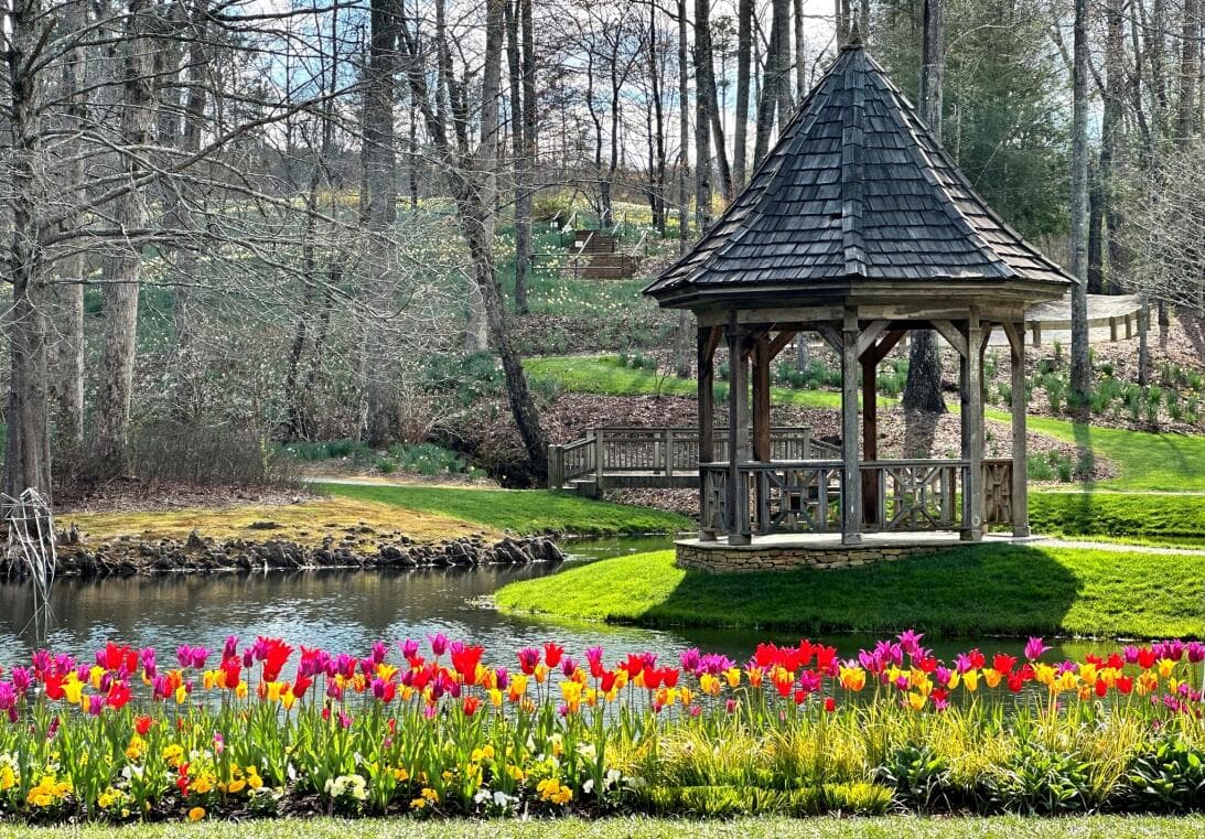 <b>2. Disfruta de flores y colores</b>: La temporada llama a una salida a exteriores y si eres de aquellos que aprecia la belleza natural y el color, 
<b><a href="https://www.univision.com/local/atlanta-wuvg/mejores-jardines-botanicos-visitar-georgia-2024-fotos">de seguro te interesará darte una vuelta por los mejores jardines botánicos estatales</a></b>.