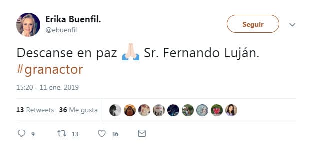 Otra de las famosas que reconoció el talento de Fernando Luján, fue Erika Buenfil.
