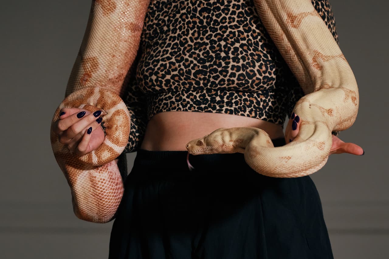 La boa constrictora 
<b>Princess</b>, de tonos amarillo y durazno, fue elegida tras una audición para aparecer en escena durante la nueva versión de la ópera.