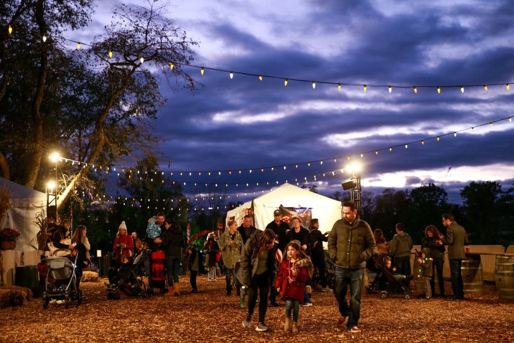 La agresividad de los perros se debe a que se ponen nerviosos al escuchar los timbres susonando constantemente, extraños llegan con disfraces o mascaras a las casas, algunos de ellos llegan en grandes grupos y son bulliciosos.
<b> Y, veces a los dueños se les olvidan de sujetarlos. </b>
<br>
<br>