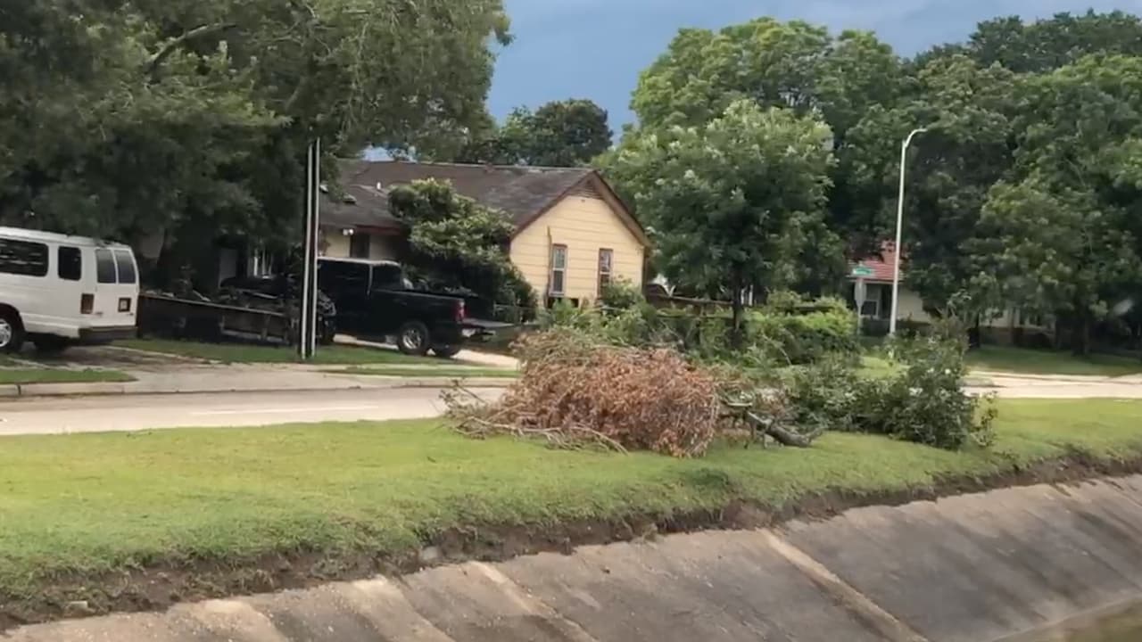 Univision 45 - Marlene Guzmán.