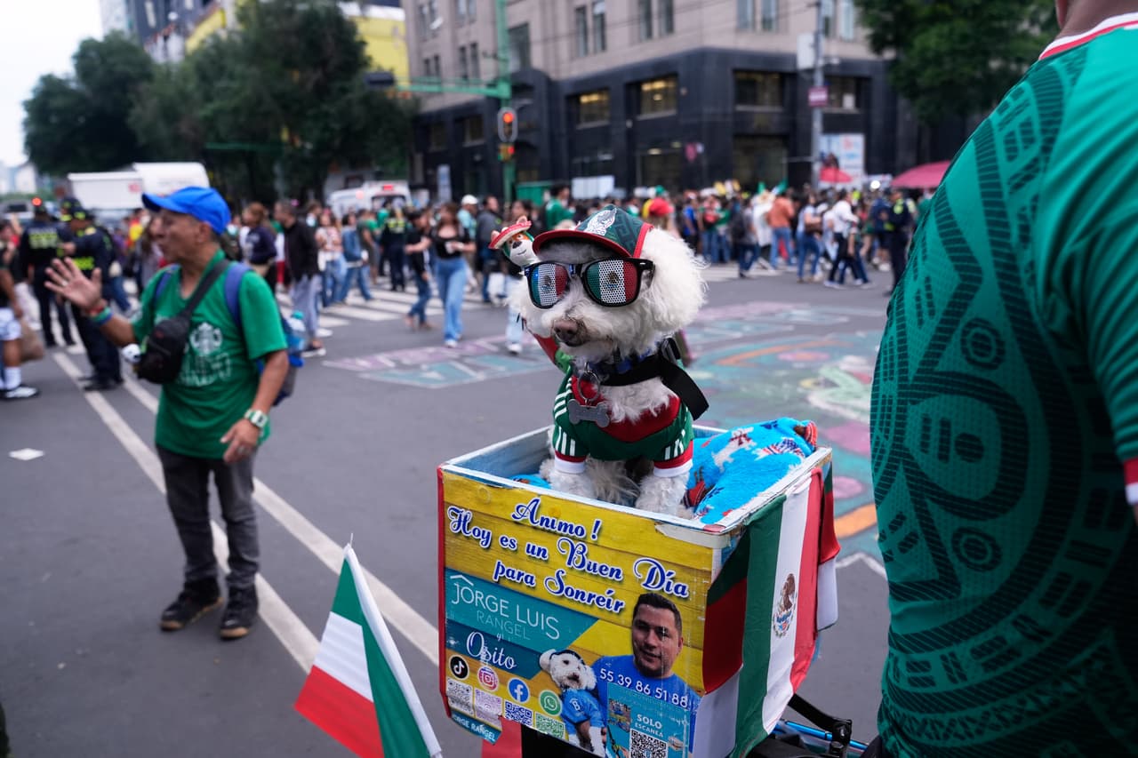 Un perro llamado Osito luce una camiseta de la selección mexicana y viaja en la cesta de una bicicleta de Jorge Rangel antes de un partido del Grupo A de la Copa Mundial contra Corea del Sur en la Ciudad de México, el jueves 18 de junio de 2026.
