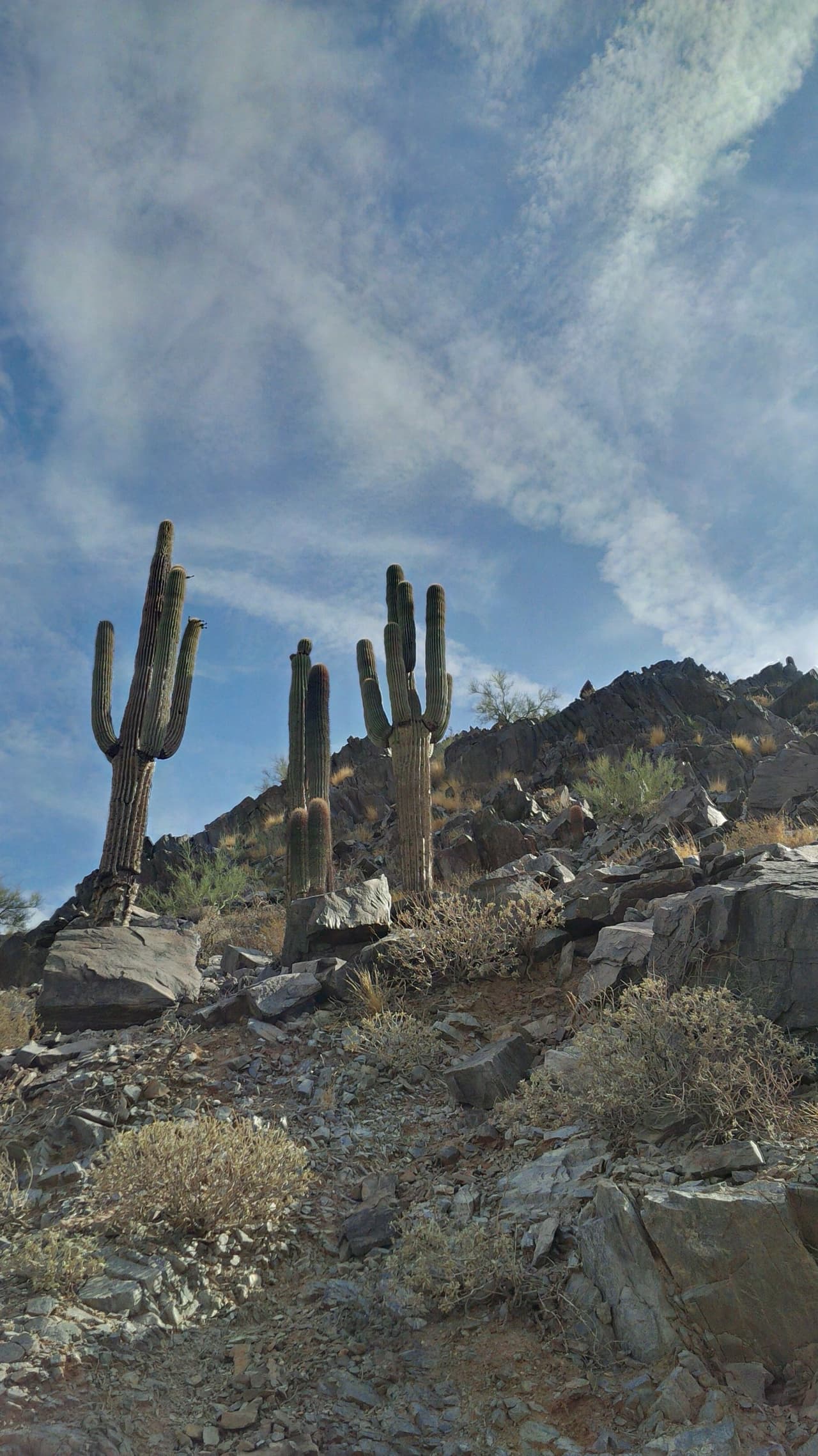 Una fuerte tormenta azota a varias áreas del Valle, y a pesar de las advertencias, algunos se han aventurado a la montaña Piestewa Peak, donde el cielo amaneció despejado, pero rápidamente el monzón llegó a nublarlo.