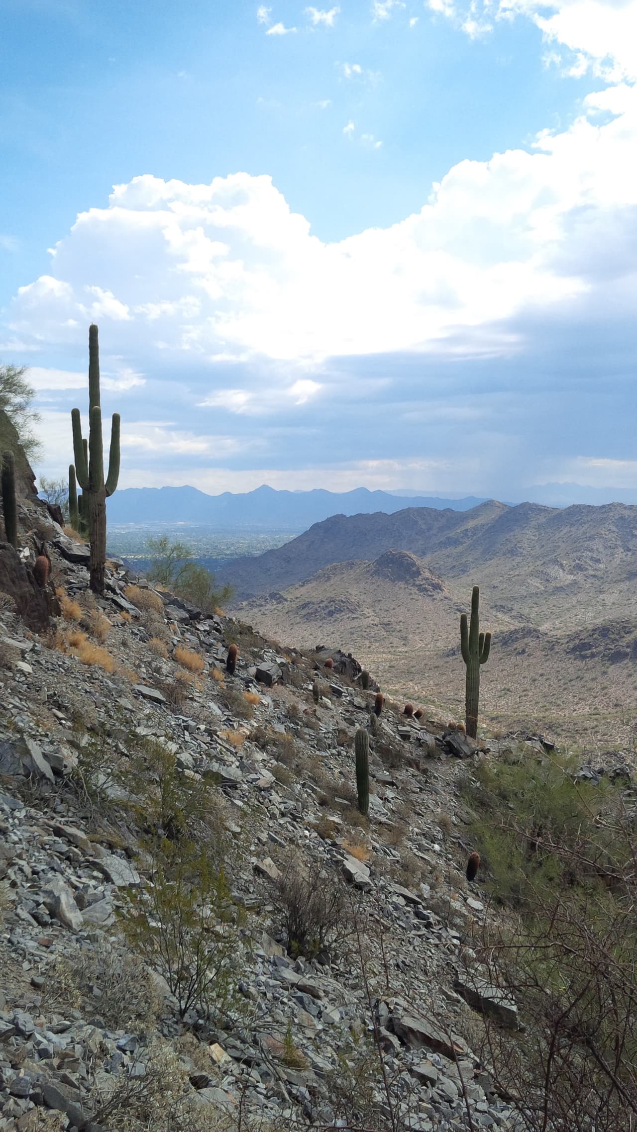 Una fuerte tormenta azota a varias áreas del Valle, y a pesar de las advertencias, algunos se han aventurado a la montaña Piestewa Peak, donde el cielo amaneció despejado, pero rápidamente el monzón llegó a nublarlo.