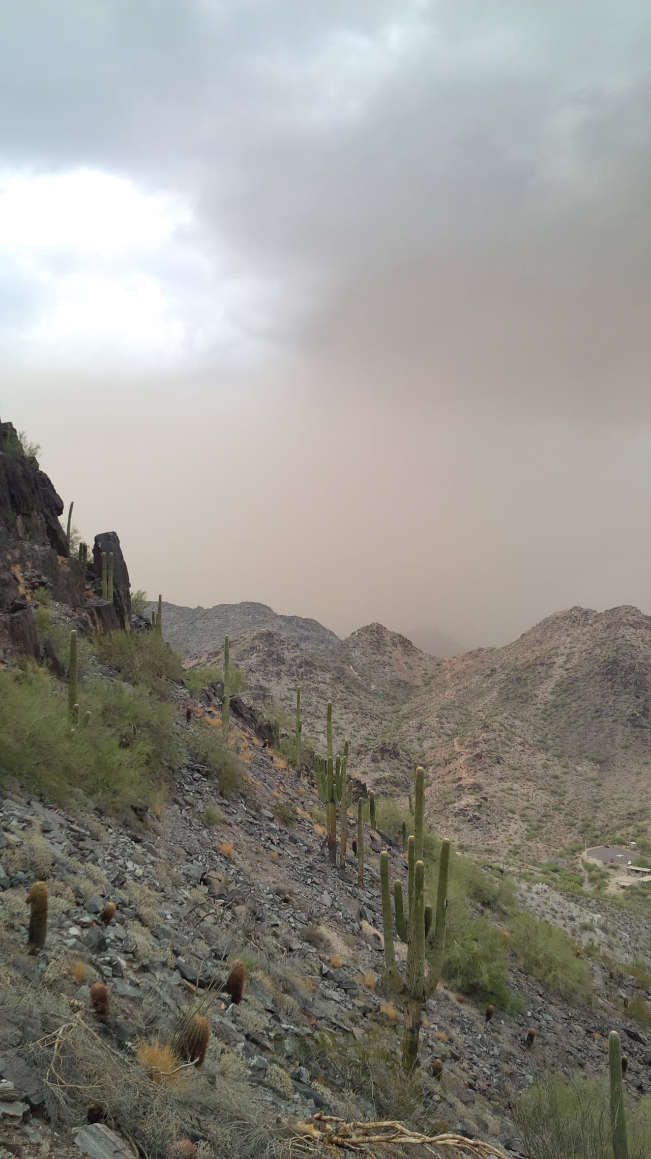 Una fuerte tormenta azota a varias áreas del Valle, y a pesar de las advertencias, algunos se han aventurado a la montaña Piestewa Peak, donde el cielo amaneció despejado, pero rápidamente el monzón llegó a nublarlo.