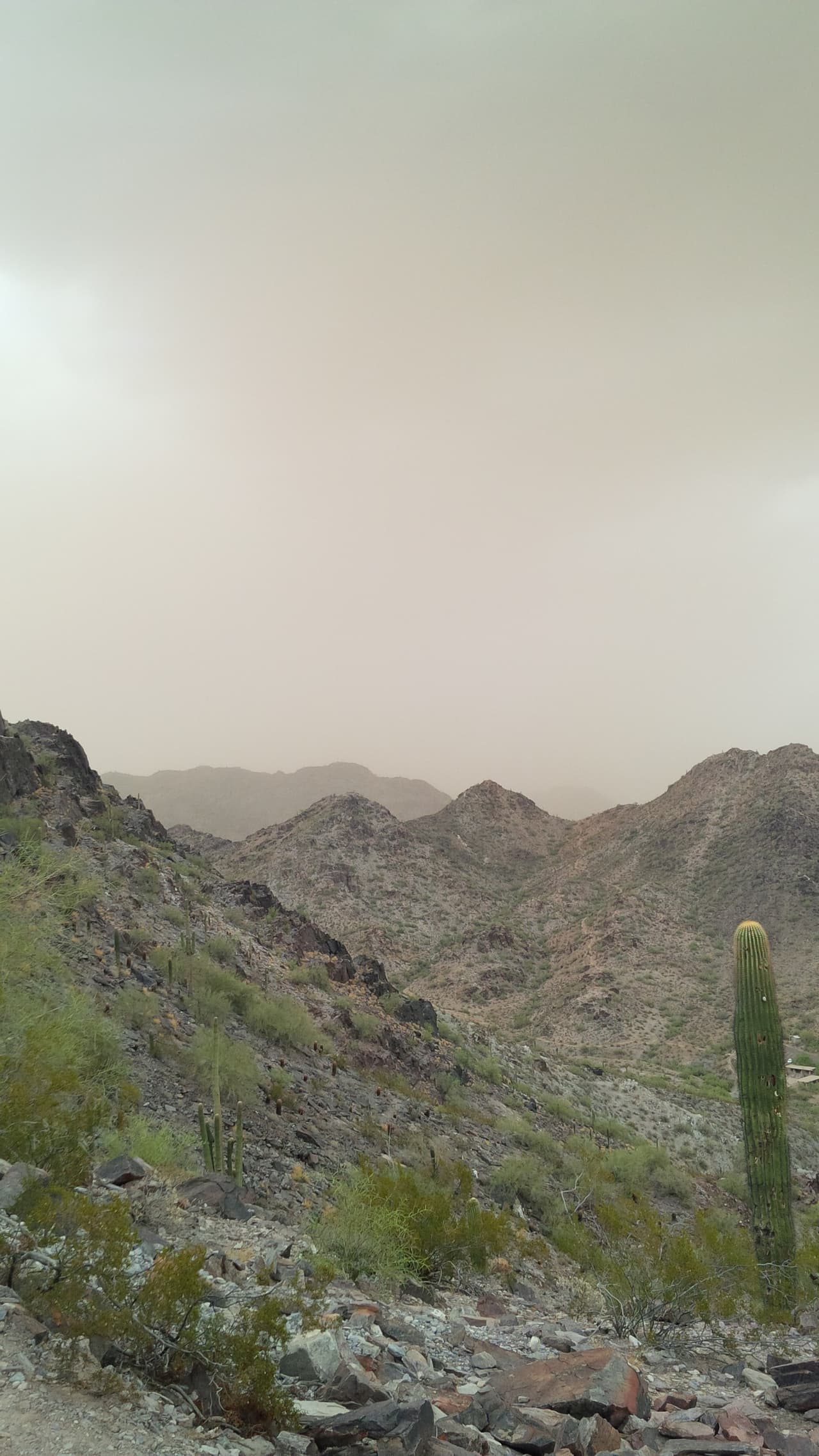 Una fuerte tormenta azota a varias áreas del Valle, y a pesar de las advertencias, algunos se han aventurado a la montaña Piestewa Peak, donde el cielo amaneció despejado, pero rápidamente el monzón llegó a nublarlo.
