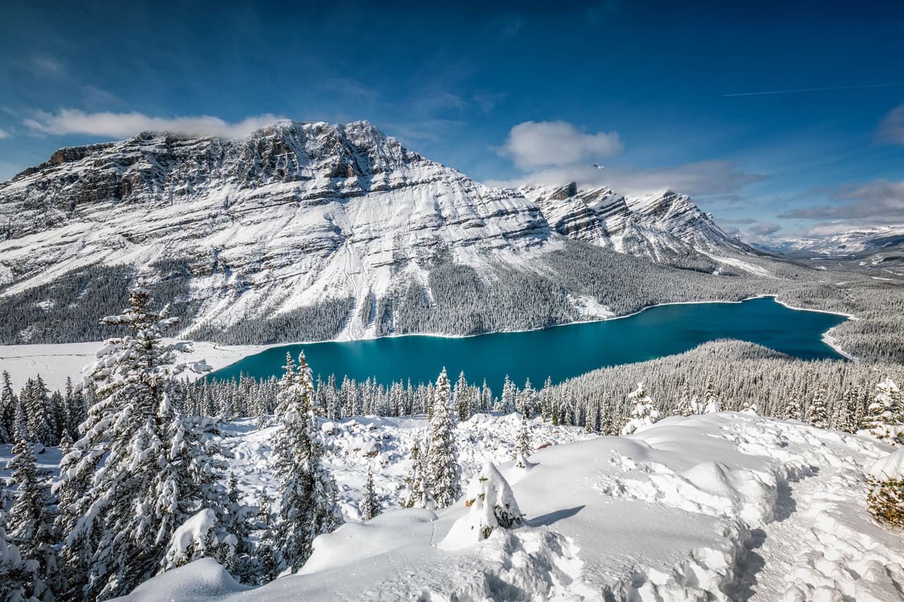 <b>Puesto 1. Lago Peyto, Canadá</b>
<br>
<br>“Este llamativo lago es conocido por su color azul turquesa, que se ve aún más impresionante en contraste con el bosque oscuro que rodea la costa”, explica el portal de viajes. El agua obtiene su impresionante color azul brillante del agua del glaciar que alimenta el lago y es un destino turístico popular para los turistas que también desean explorar la zona montañosa local.
<br>