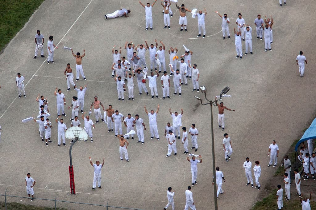Aumentan llamadas al 911 desde el centro de detención de Krome, asegura alcaldesa Levine-Cava
