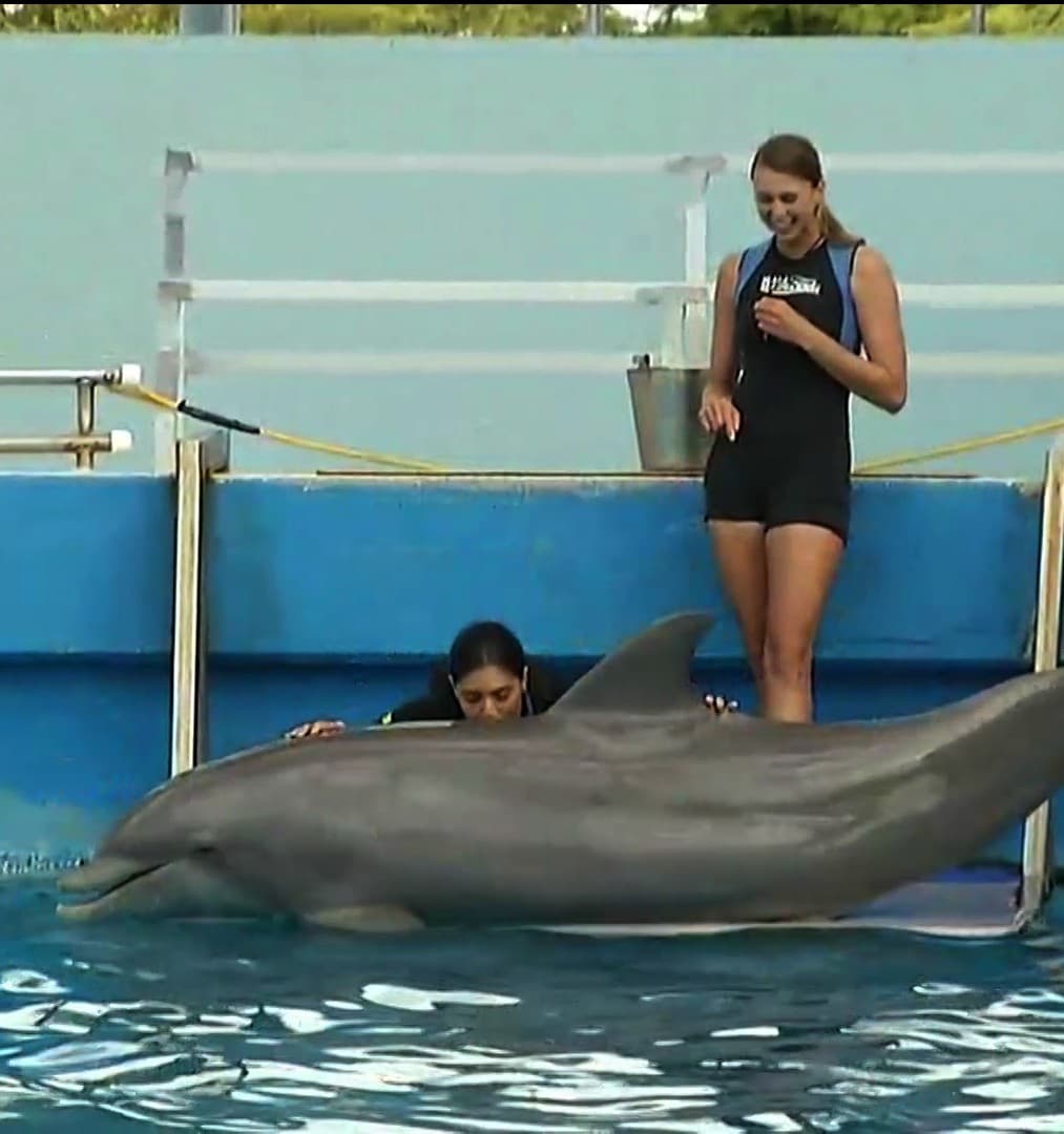 Uno de los momentos más emotivos en el aquario fue cuando Francisca tocó y besó al tierno animal marino.