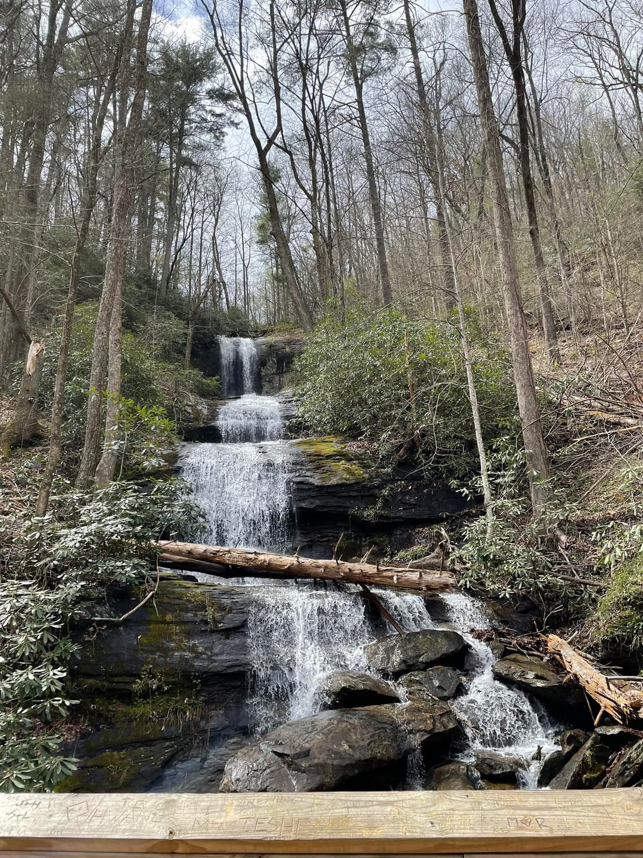 La zona lleva el nombre del explorador español Hernando de Soto, quien viajó por la región en el siglo XVI.