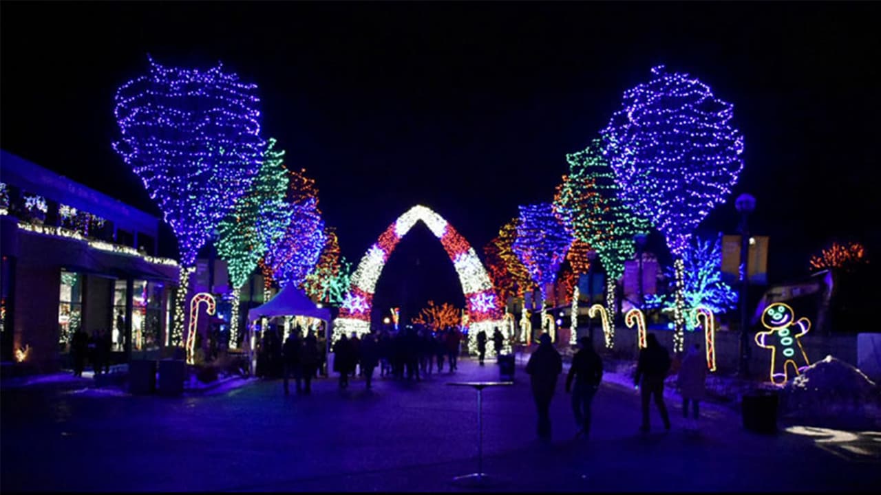 <b>Zoo Year’s Eve en Lincoln Park</b>
<br>Si lo que buscas es recibir el año nuevo de una forma diferente, el Zoológico de Lincoln Park es tu opción. Luces, juegos y música te esperan en medio de un ambiente de naturaleza y animales. Este es un evento para mayores de edad.
<br>
<br>
<b>¿Dónde?</b> Licoln Park Zoo (2001 N Clark St. Chicago)
<br>
<b>¿Cuándo?</b> 31 de diciembre de 2022, a partir de las 9 p.m.
<br>
<b>¿Precio?</b> A partir de $15. Boletos disponibles a través de
<a href="https://newyearsatthezoo.weebly.com/?c=mkt_w_chnl:aff_geo:all_prtnr:sas_subprtnr:742098_camp:brand_adtype:txtlnk_ag:weebly_lptype:hp_var:358504&sscid=c1k6_ztcez" target="_blank">este enlace</a>.