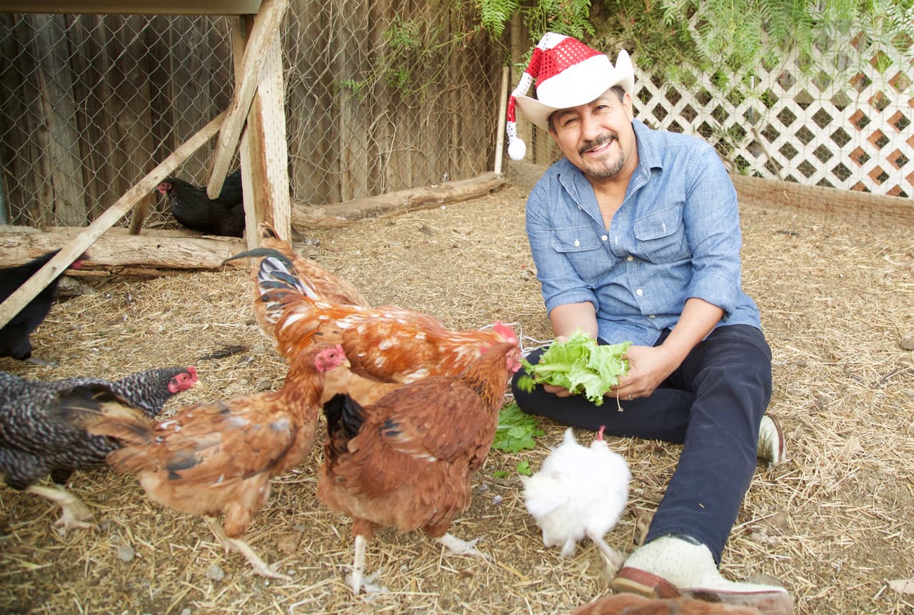 Con regalos y piñata, las gallinas del Feo tiene su posada o al revés Las gallinas del Feo tienen su posada con regalos y piñata