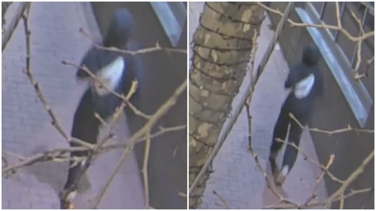 Policía busca a sospechoso de agredir sexualmente a cuatro mujeres en Falls Church