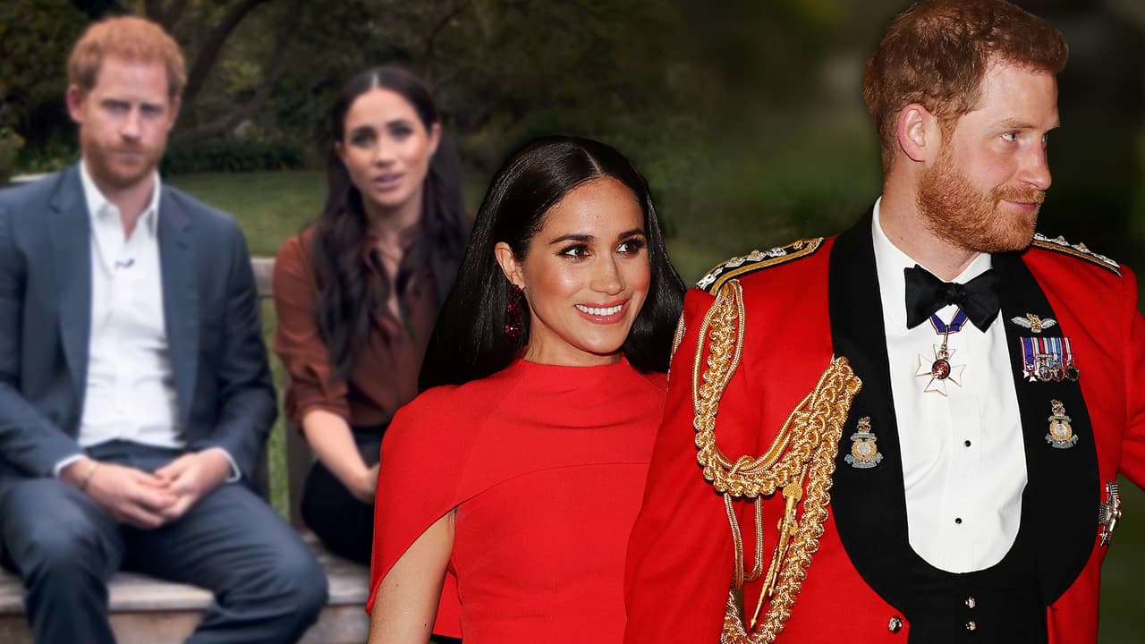 En el Reino Unido, varios políticos y comentaristas criticaron sus declaraciones y algunos dijeron que se habían "pasado de la raya" al invitar al voto siendo que aún ostentan sus títulos nobiliarios. 
<br>