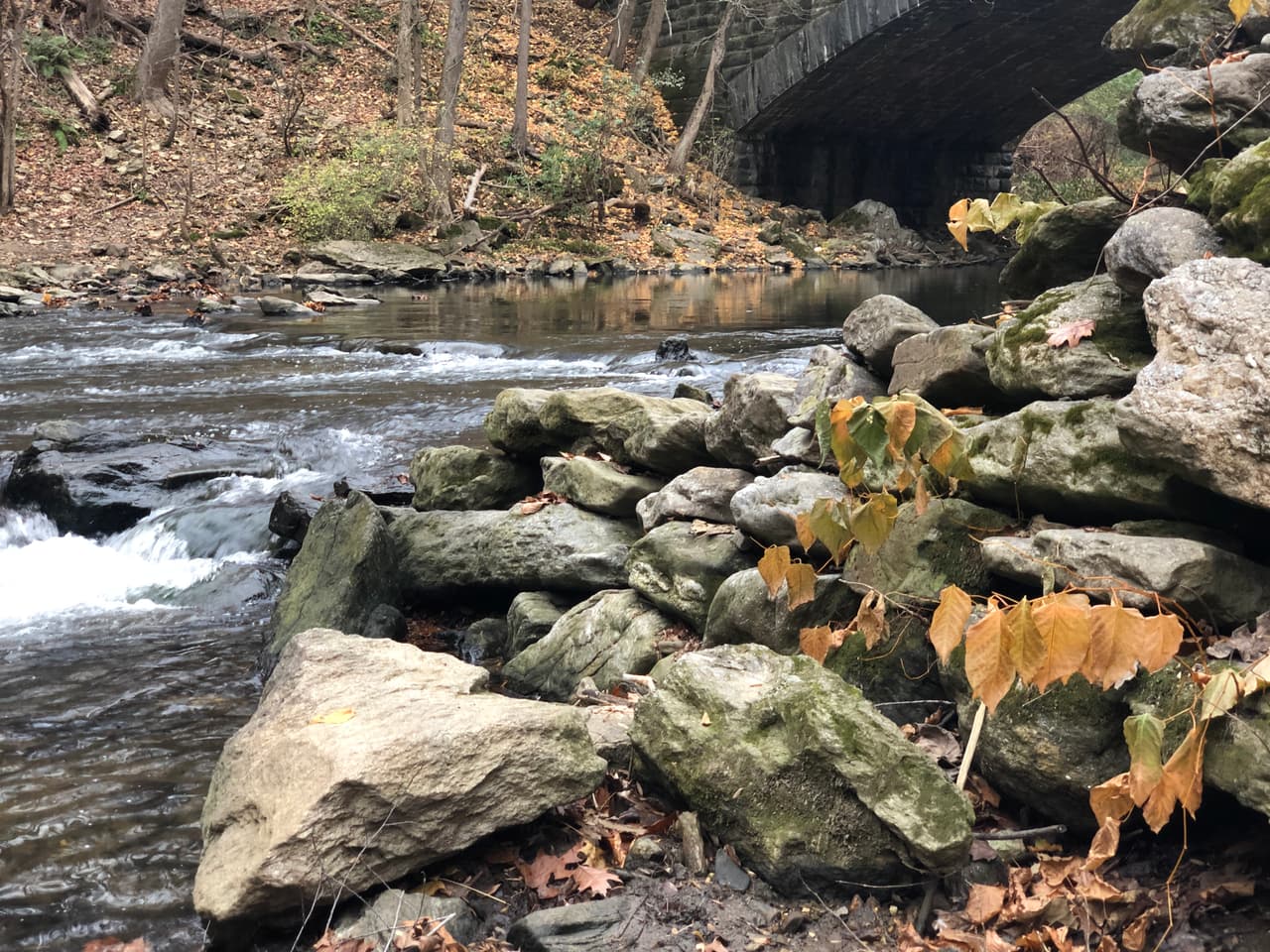 Una experiencia de sendero pintoresco, los usuarios de Forbidden Drive Trail pasarán por muchas características históricas y naturales interesantes. Las vistas son perfectas para conectar con la naturaleza.