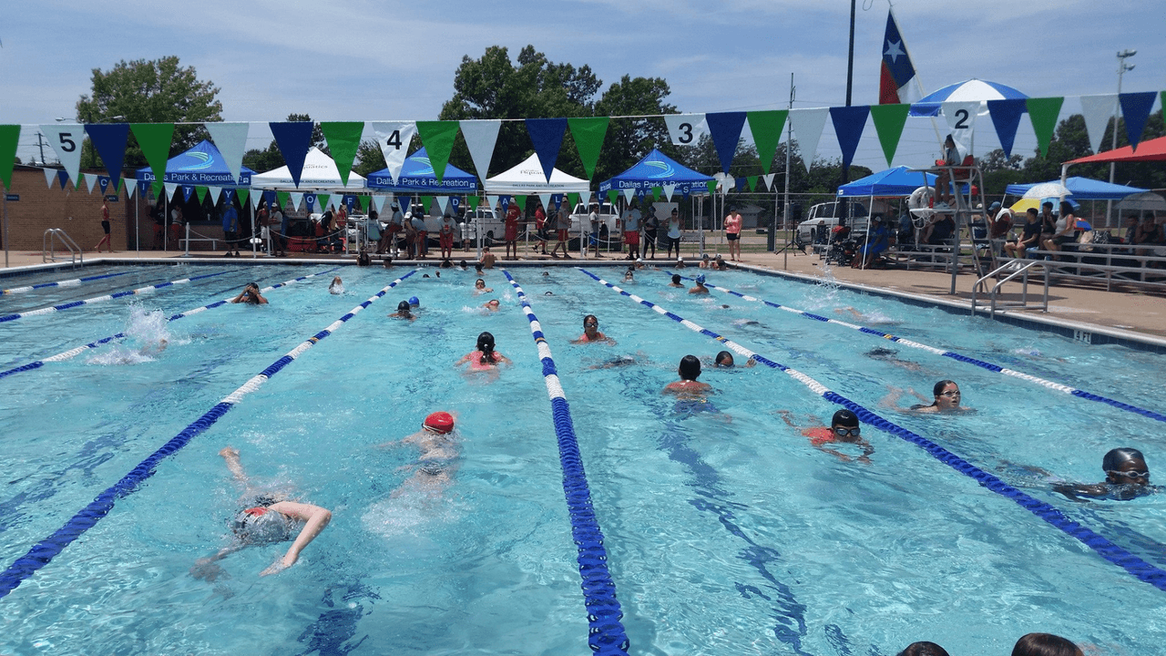 <h3 class="cms-H3-H3"><b>Everglade</b></h3>
<br>La piscina de Everglade, cuyo equipo se conoce como los “Gators” (lagartos, en inglés), tiene otros extras para ti y tu familia.
<br>
<br>
<b>¿Qué ofrece la piscina? </b>
<br>Sillas, una regadera exterior, mesas de picnic, un lugar de juegos para niños, baños, una estructura para sombra y una resbaladilla.
<br>
<br>
<b>¿Dónde está ubicada?</b>
<br>📍5100 N. Jim Miller, Dallas, TX 75227
<br>
<br>
<b>¿Cuándo abren?</b>
<br>Lunes, miércoles y jueves, de 1 p.m. a 6 p.m. Los viernes y domingos está de 12 p.m. a 7 p.m.
<br>
<br>
<b>¿Cuándo cierran?</b>
<br>Martes y sábados.